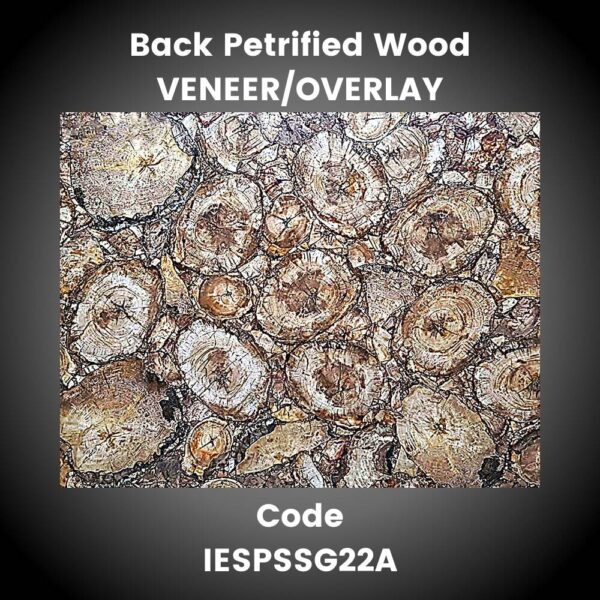 BLACK PETRIFIED WOOD SEMI PRECIOUS STONE SLAB veneer/ overlay