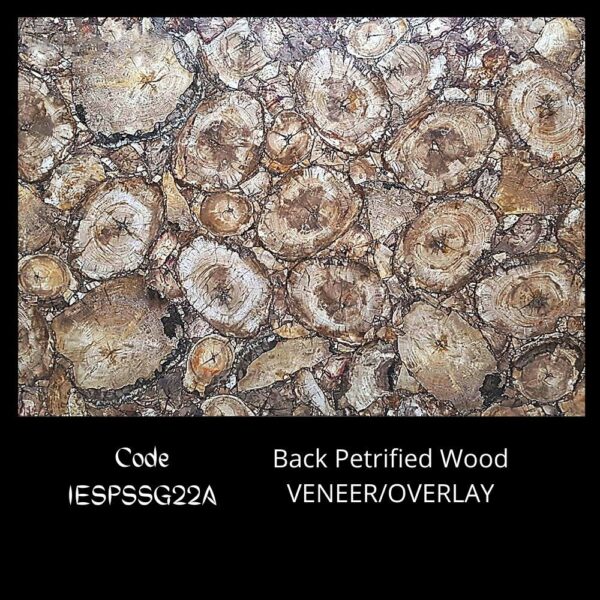 BLACK PETRIFIED WOOD SEMI PRECIOUS STONE SLAB