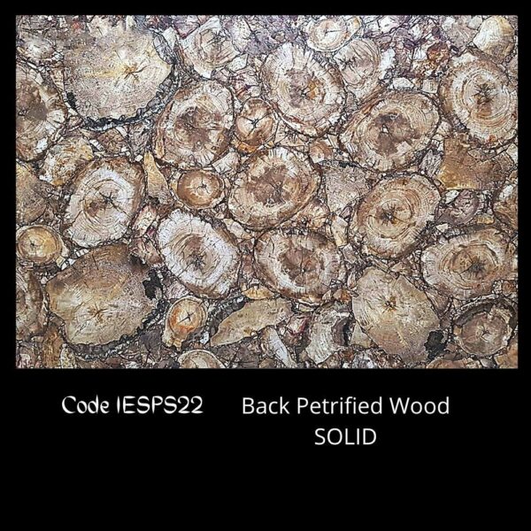 BLACK PETRIFIED WOOD SEMI PRECIOUS STONE SLAB SOLID